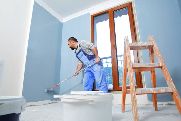 Best Mold Odor Removal Services  in Barry, IL