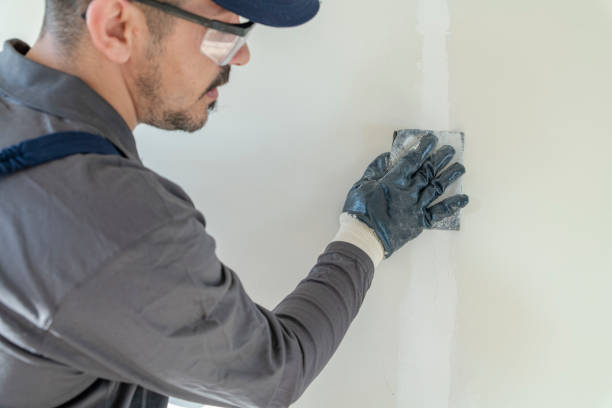 Professional Mold Removal in Barry, IL