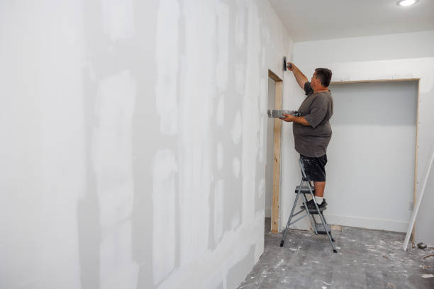 Best Basement Mold Removal  in Barry, IL