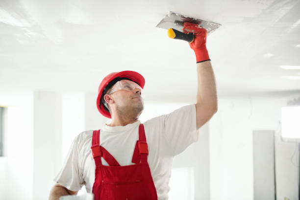Best Forensic Mold Investigation  in Barry, IL