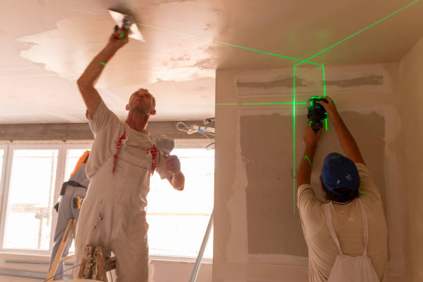 Trusted Barry, IL Mold Removal Experts