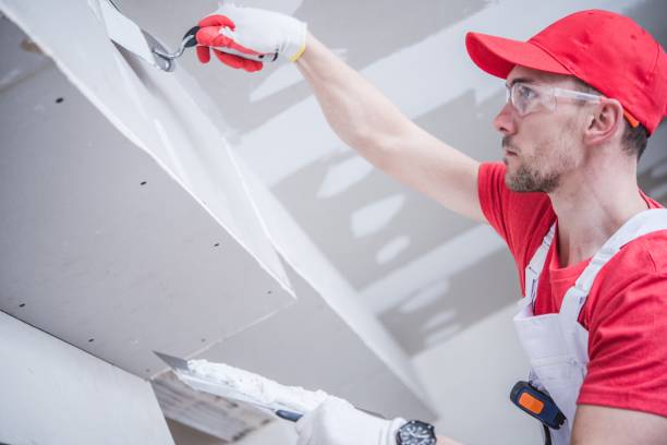 Best Basement Mold Removal  in Barry, IL